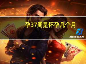 孕37周是怀孕几个月（孕37周是怀孕几个月）