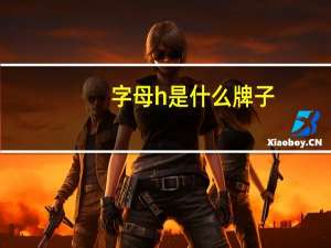 字母h是什么牌子