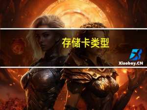 存储卡类型（存储卡密码）