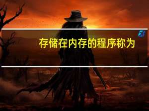 存储在内存的程序称为