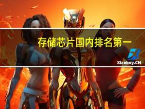 存储芯片国内排名第一