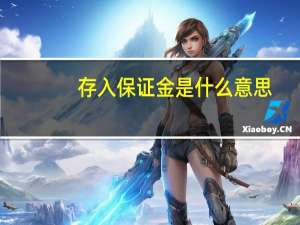 存入保证金是什么意思