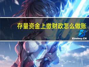 存量资金上缴财政怎么做账