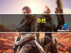 孙姓（关于孙姓的介绍）