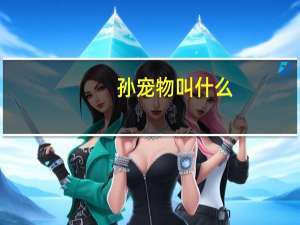孙宠物叫什么