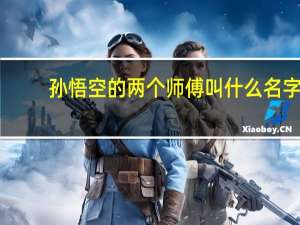 孙悟空的两个师傅叫什么名字