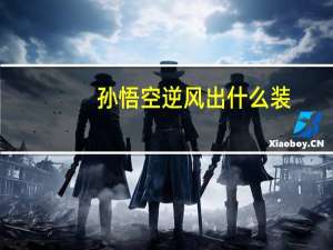 孙悟空逆风出什么装