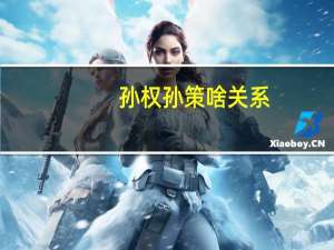 孙权孙策啥关系（孙策孙权什么关系）