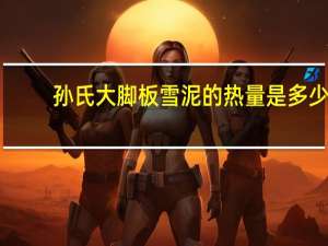孙氏 大脚板雪泥的热量是多少