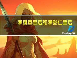 孝康章皇后和孝懿仁皇后（孝康章皇后）