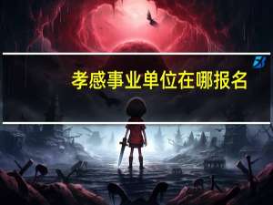 孝感事业单位在哪报名