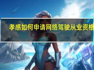 孝感如何申请网络驾驶从业资格证