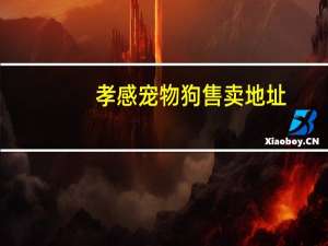 孝感宠物狗售卖地址