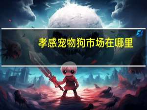 孝感宠物狗市场在哪里