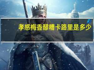 孝感梅香醪糟卡路里是多少