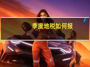 季度地税如何报