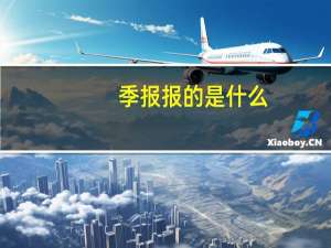 季报报的是什么