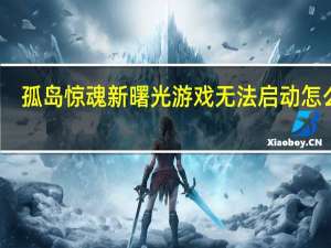 孤岛惊魂新曙光游戏无法启动怎么办（孤岛惊魂新曙光游戏无法启动解决办法）