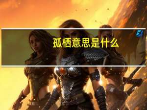 孤栖意思是什么