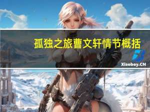 孤独之旅曹文轩情节概括（孤独之旅曹文轩）