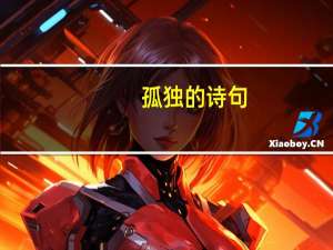 孤独的诗句