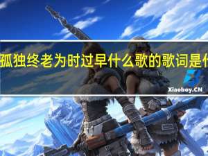 孤独终老为时过早什么歌的歌词是什么歌？