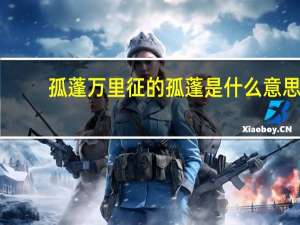 孤蓬万里征的孤蓬是什么意思