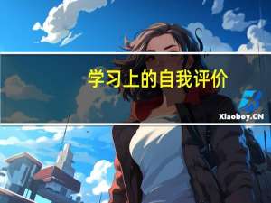 学习上的自我评价