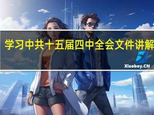 学习中共十五届四中全会文件讲解简介