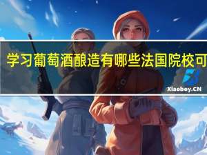 学习葡萄酒酿造有哪些法国院校可推荐
