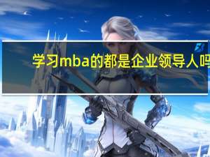 学习mba的都是企业领导人吗