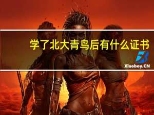 学了北大青鸟后有什么证书