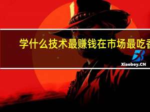 学什么技术最赚钱在市场最吃香（学什么技术最赚钱）