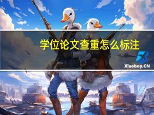 学位论文查重怎么标注