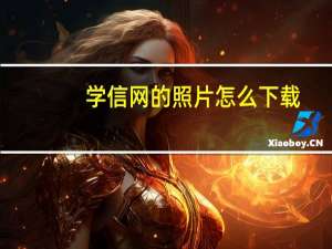 学信网的照片怎么下载（学信网的照片怎么下载）