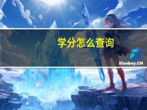 学分怎么查询