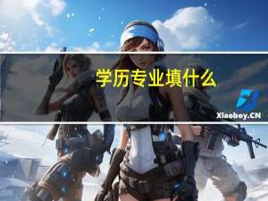 学历专业填什么