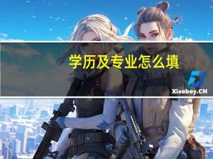 学历及专业怎么填