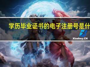 学历毕业证书的电子注册号是什么
