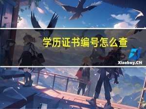 学历证书编号怎么查
