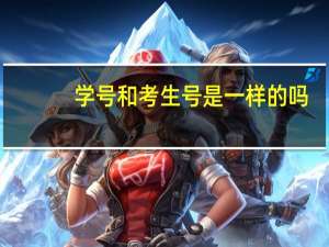学号和考生号是一样的吗