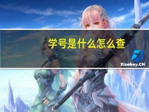 学号是什么怎么查（学号）