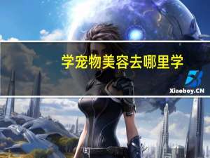 学宠物美容去哪里学