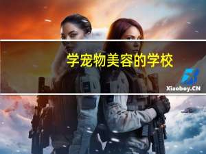 学宠物美容的学校