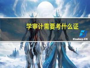 学审计需要考什么证