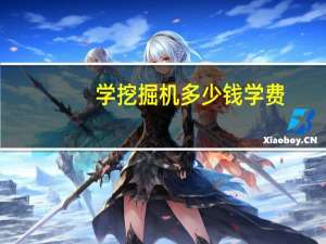 学挖掘机多少钱学费（学挖掘机需要多少钱）