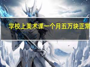 学校上美术课一个月五万块正常吗