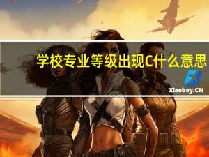 学校专业等级出现 C 什么意思