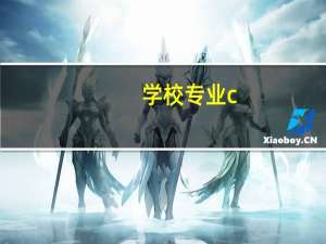 学校专业c+什么意思