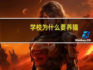 学校为什么要养猫